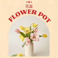 Flower Pot (Steel pot/ Basket/ Plastic Pot/ Vase/ Glass)