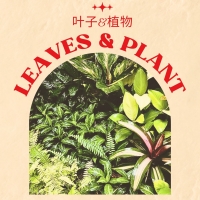 Leaves & Plant (Grass)